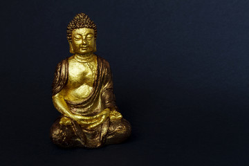 Isolated Young Buddha figure on black background, meditation, Buddha