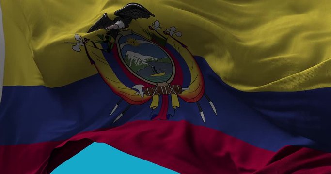 National Flag of  Ecuador  waving in the wind slow motion Seamless Loop Animation