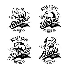 Obraz premium Vintage American furious bull, wolf, panther, rhino bikers club tee print vector design. Street wear t-shirt emblem. Premium quality wild animal superior logo concept illustration.