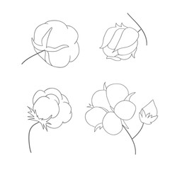Vector set of hand draw ink cotton plant. Cotton icons illustration set. Can be used as logo, labels, stickers and emblems. Doodle branch of cotton. Sketch. 