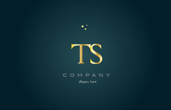 ts t s  gold golden luxury alphabet letter logo icon template
