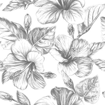 Tropical flowers and leaves seamless background, hand drawn monochrome botanical repeating pattern on white backdrop. Vintage vector illustration