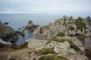 Fototapeta na wymiar Steilküste CapSizun Bretagne