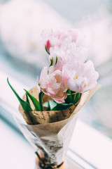 Pink and White Pastel Tulips