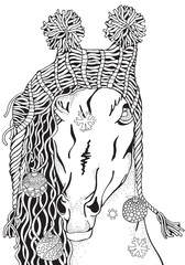 Coloring Book page for Adult and children. Funny Horse