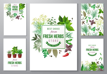 bright backgrounds with fresh herbs © Marina Gorskaya
