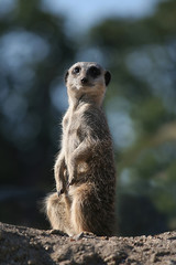You looking at me