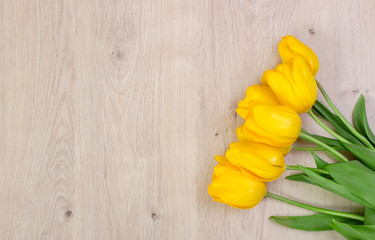  tulips on a wooden table