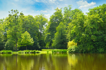 picturesque lake, summer forest on the banks and sky