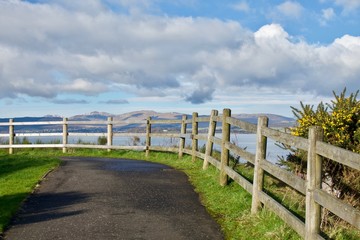 Fototapeta na wymiar Wooden fence and yellow gorse on coastal path