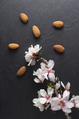 Fototapeta na wymiar Almond blossoms and dried almonds.