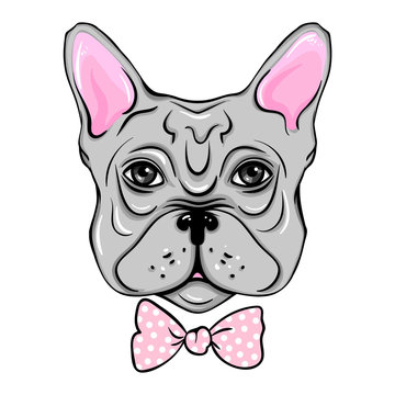 Vector French Bulldog. Illustration of a cute dog wit bow. Cartoon Animals. Funny pictures.