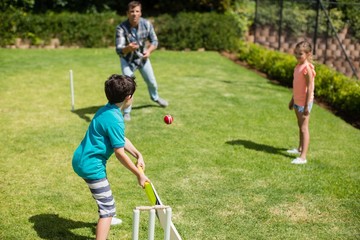 Family playing cricket in park