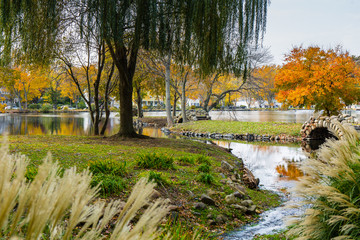 A colorful scene of a park with a tress and a pond in autumn. Heckscher Park, Huntington, NY. © jmstarr
