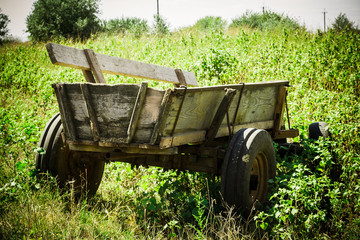 old cart at a farm