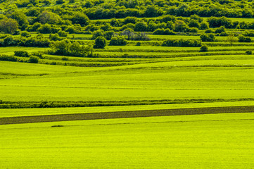 Obraz premium Hügellandschaft, Österreich, Niederösterreich, Weinviertel, M