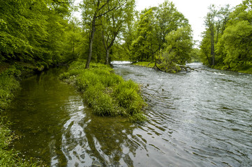 Nationalpark Thayatal, Fluss Thaya, Seitenarm, Österreich, Nied