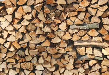 woodshed with many pieces of wood ready to be burned to keep war