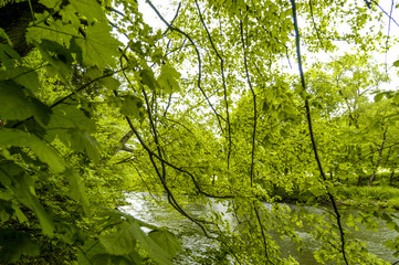 Nationalpark Thayatal, Fluss Thaya, Österreich, Niederösterrei