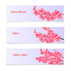 Flyer, invitation bills or leaflets. With a depiction of flowering realistic branches with a pink cherry. Sakura. illustration