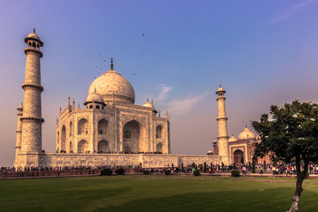 November 02, 2014: Gardens of the Taj Mahal in Agra, India
