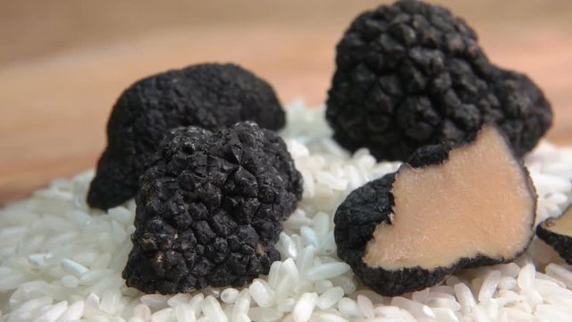 Close-up of half of black truffle tubers lying on rice