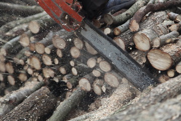 Wood cutting