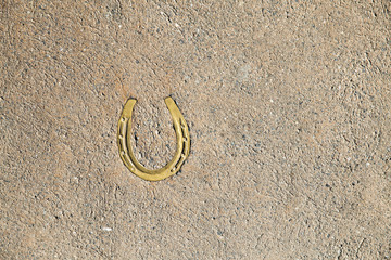 Horseshoe in the ground. Old horseshoe, background.copy space for your text