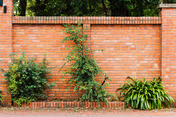 Brick wall with plants in a flower pot