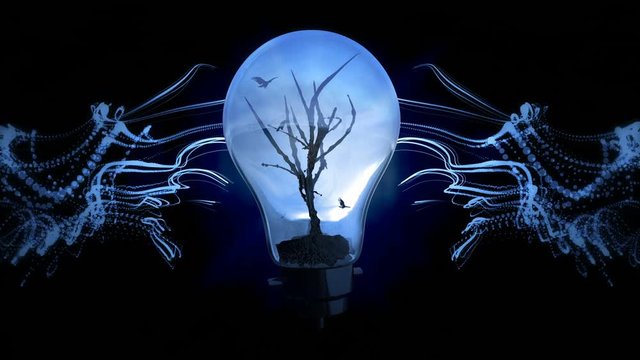 Looped seamless footage for your event, concert, title, presentation, site, DVD, music videos, video art,holiday show, party, etc&hellip; Also useful for motion designers, editors and VJ's for led screens.
