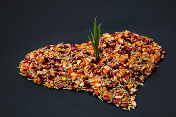 Heart shaped mix of red and yellow corn grains and wheat on market stall