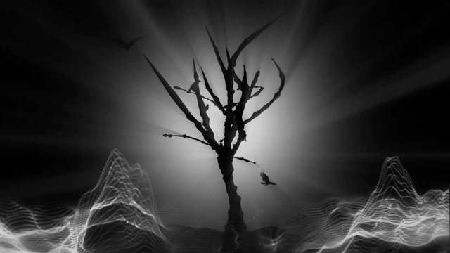 Looped seamless footage for your event, concert, title, presentation, site, DVD, music videos, video art,holiday show, party, etc&hellip; Also useful for motion designers, editors and VJ's for led screens.
