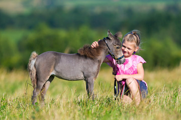 Small child with a small miniature horse in field. Girl and foal outdoors. Cute mini horse and child in summertime