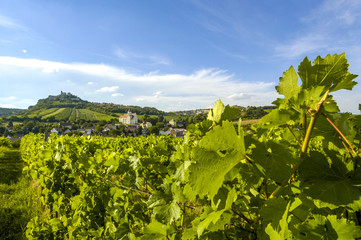Fototapeta na wymiar Weinregion Falkenstein im Weinviertel, Österreich, Niederöster