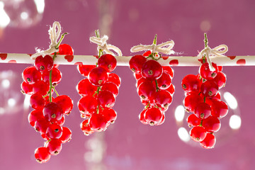 Red currants hang on straw
