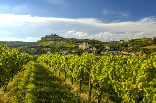 Weinregion Falkenstein im Weinviertel, Österreich, Niederöster