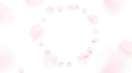 Blurred pastel background with flower petals.