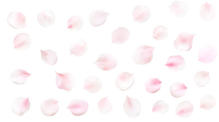 Blurred pastel background with flower petals.