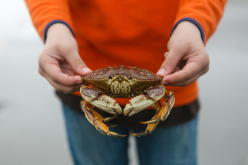Boy holding a crab along Oregon Coast © Andrea Lonas