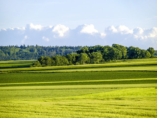 Agrarlandschaft, Österreich, Niederösterreich, Waldviertel