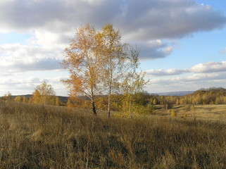 Obraz premium OLYMPUS DIGITAL CAMERA