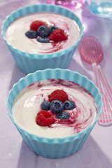 Vanilla yoghurt with summer berries