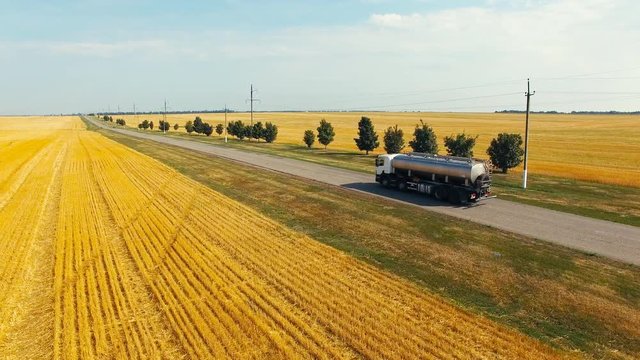 The car milk on the road through the fields