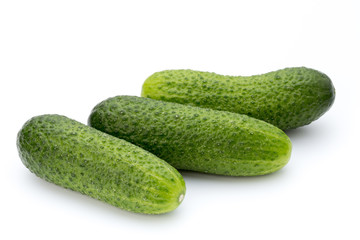 The first spring ecologically cucumbers.