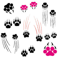 Naklejka premium Footprints of a big cat. Panther or tiger traces. Vector clipart