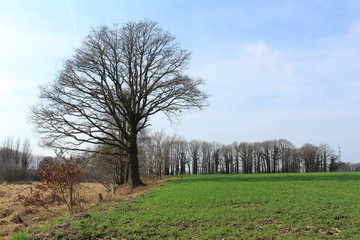 Obraz premium Landwirtschaft und Natur