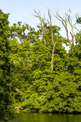 Landschaft am Wasser, Tschechische Republik, Südmähren, Lednic