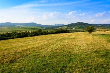 Fototapeta na wymiar Green hills near Hercegkut, Sarospatak, Hungary