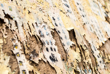 Sttreet art - old graffiti on the wall