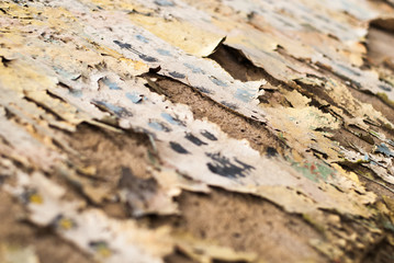 Sttreet art - old graffiti on the wall